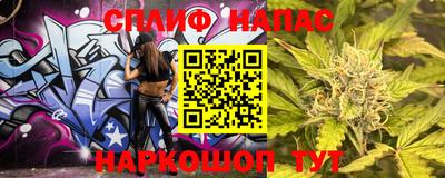 МДПВ Аша