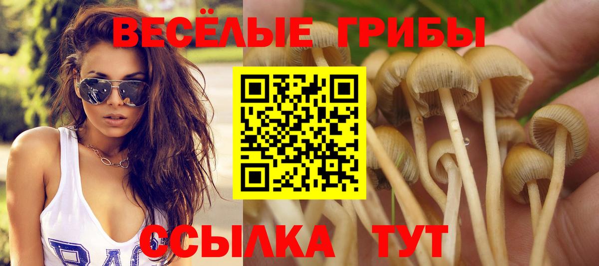 Рыбинск  Галлюциногенные грибы Psilocybe  Вход с VPN 